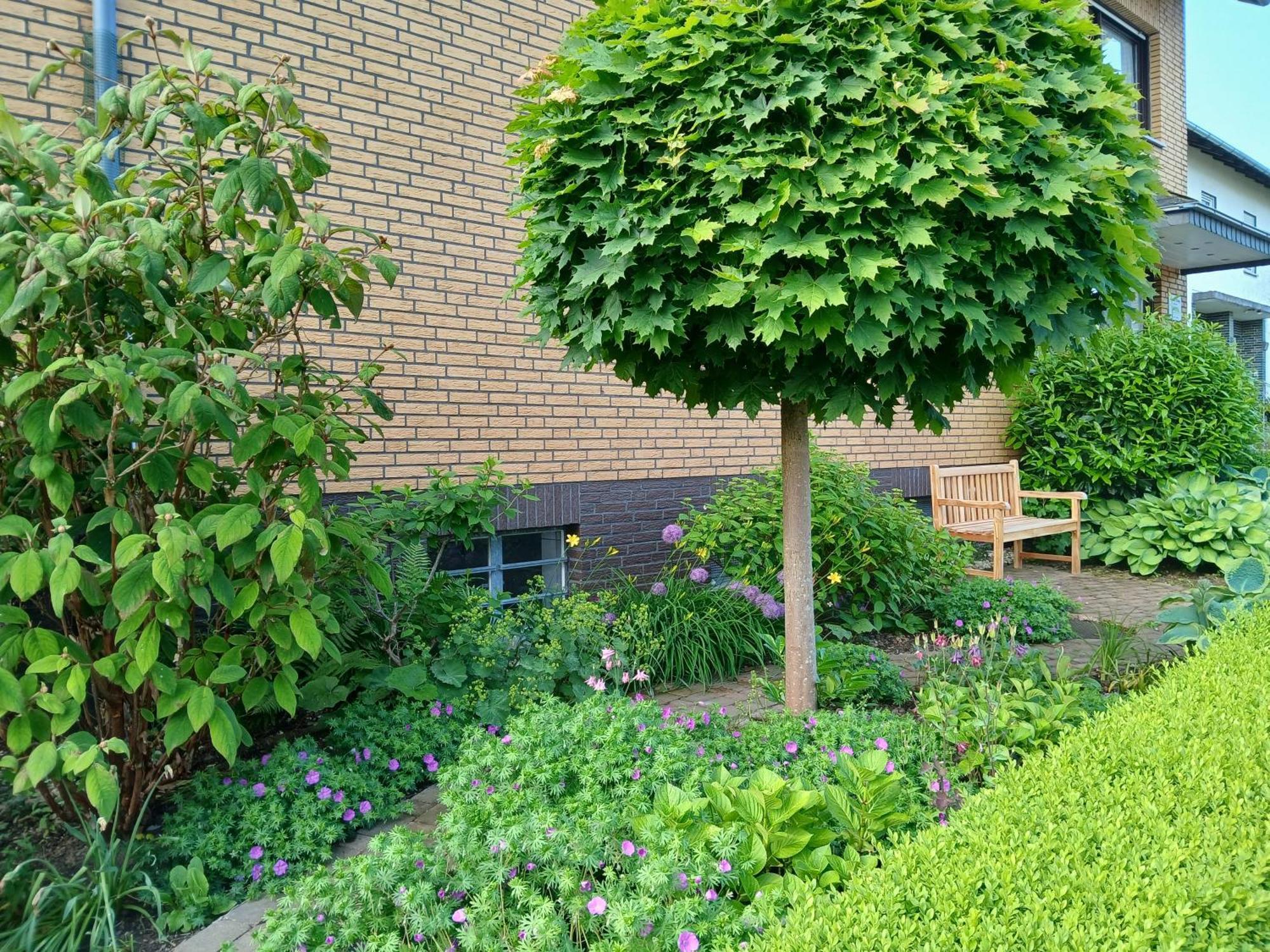 Ferienwohnung Feld Und Wiese Hoexter Exterior photo